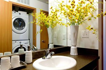Wash basin & washer dryer includes